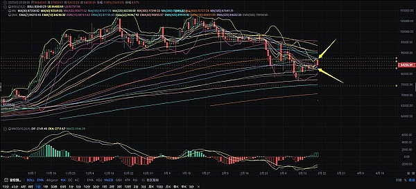 重磅消息：BFUSD即将迎来全新理财体验