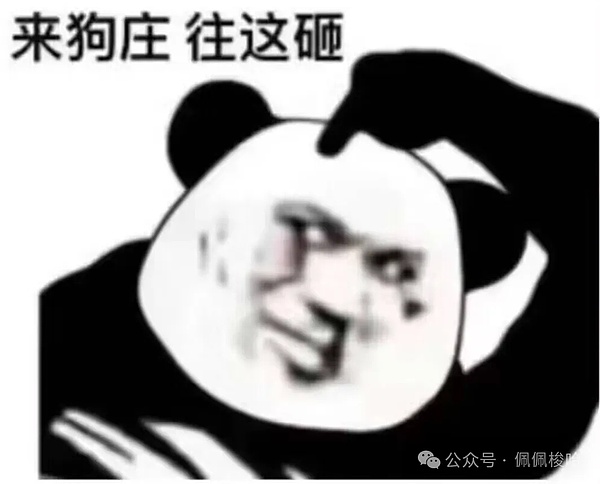 巴西比特币ETF火爆：1亿美元规模背后的投资热潮