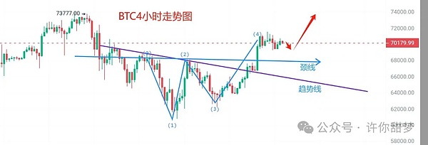 区块链投资避坑指南：如何识别真正的公链与割韭菜的山寨币？