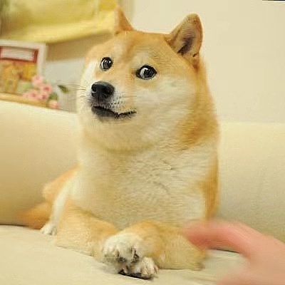 疯狂的PEPE：这只青蛙为何让币圈沸腾？