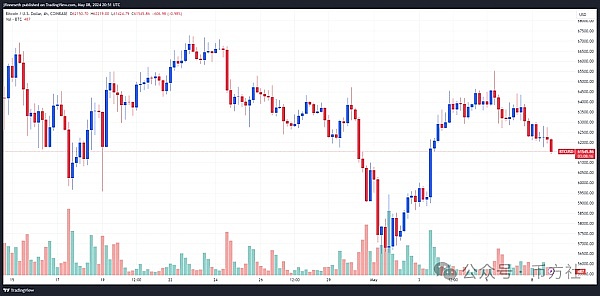 当区块链遇上毛小孩：CoinW在香港用爱心点亮中秋
