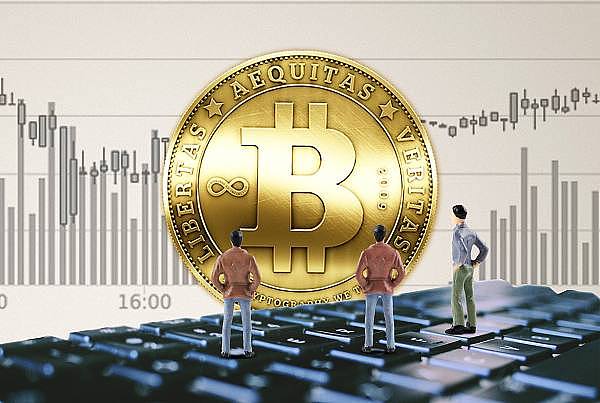 熊市淘金：专业机构如何挖掘下一个百倍奇迹