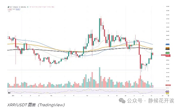 区块链开发者必备神器：解密a16z押注的smlXL核心产品