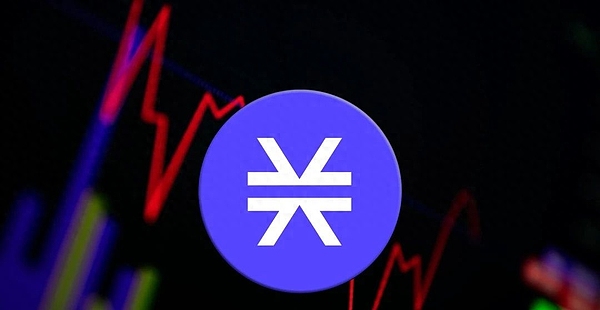 从IT神童到币圈狂人：戴志康的豪赌人生
