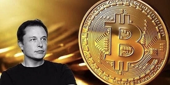 ORDI币在比特币核心言论风波中：鲸鱼玩家们的真实动作令人意外