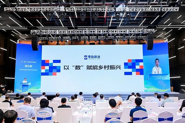 11月21日行情观察：市场为何总是在高位徘徊？