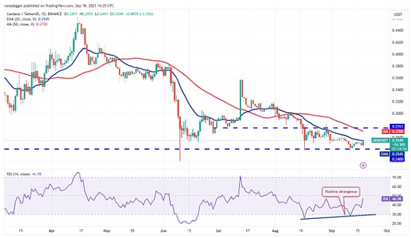 市场回调恰是黄金入场时机？深度解析当前加密行情